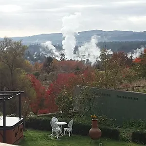 Geyser Lookout ロトルア